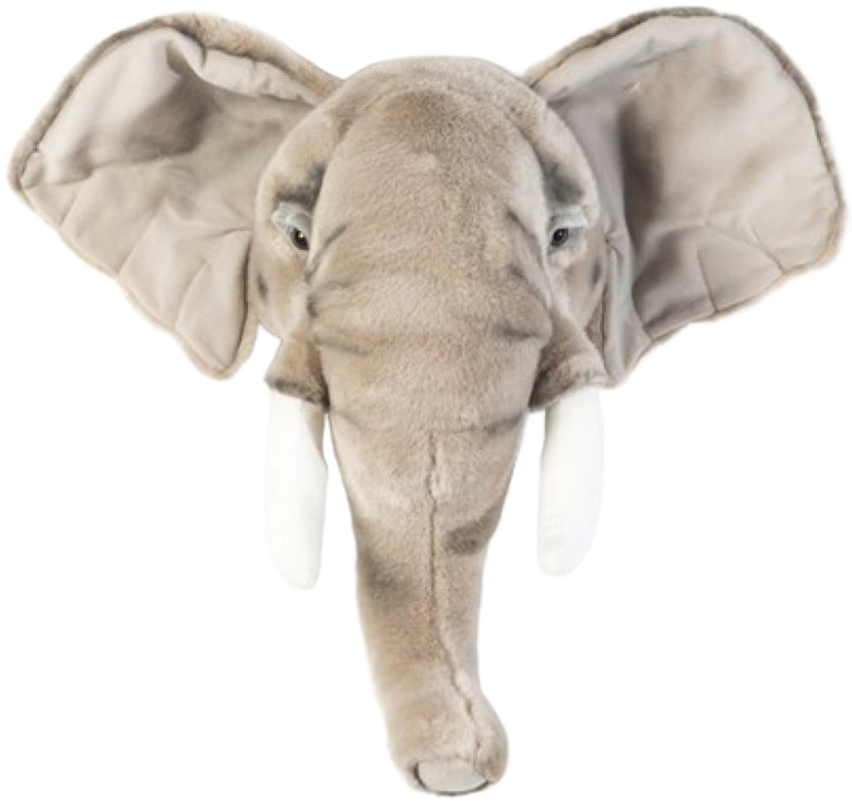 WILD & SOFT  George the Elephant